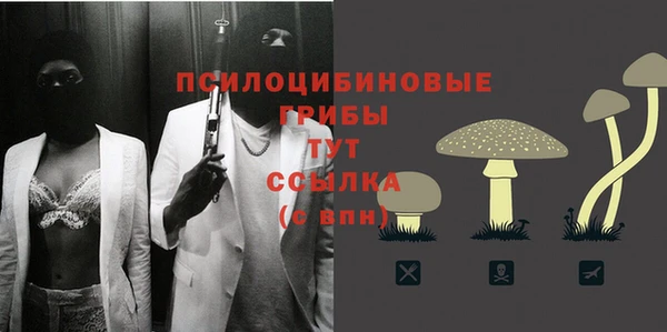 стафф Корсаков