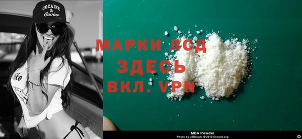 стафф Корсаков
