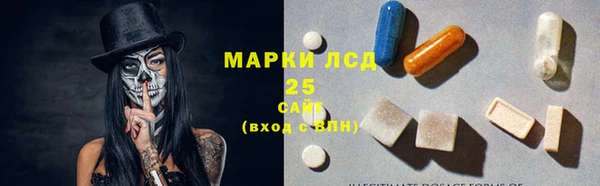 стафф Корсаков