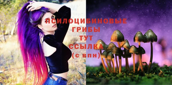 a pvp Коряжма